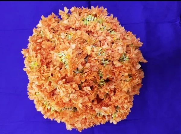 Kanakambaram
