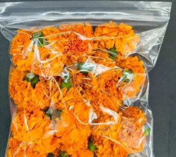Marigold