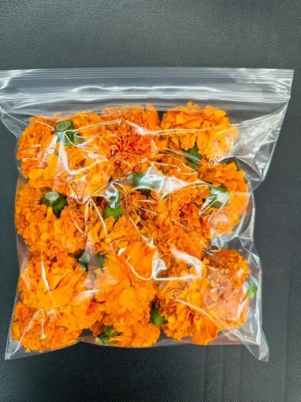 Marigold